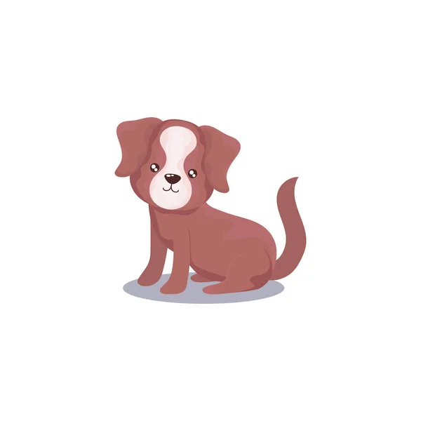 Animal de compagnie, chien brun animal domestique fond blanc — Image vectorielle