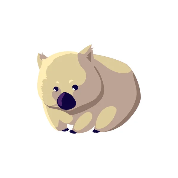 Wombat retrato de animal salvaje australiano, aislado sobre fondo blanco — Vector de stock