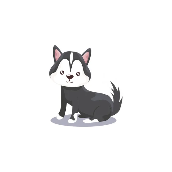 Mascota, perro siberiano animal doméstico fondo blanco — Vector de stock