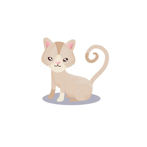 Animal de compagnie, petit chat animal domestique fond blanc — Image vectorielle