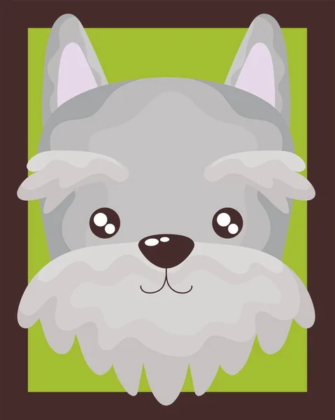 Portrait de mignon petit chien schnauzer — Image vectorielle