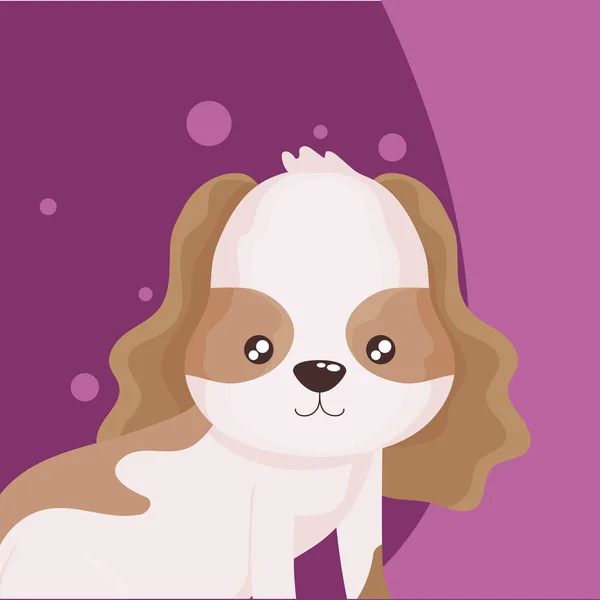 Porträtt av söt liten hund lila bakgrund — Stock vektor