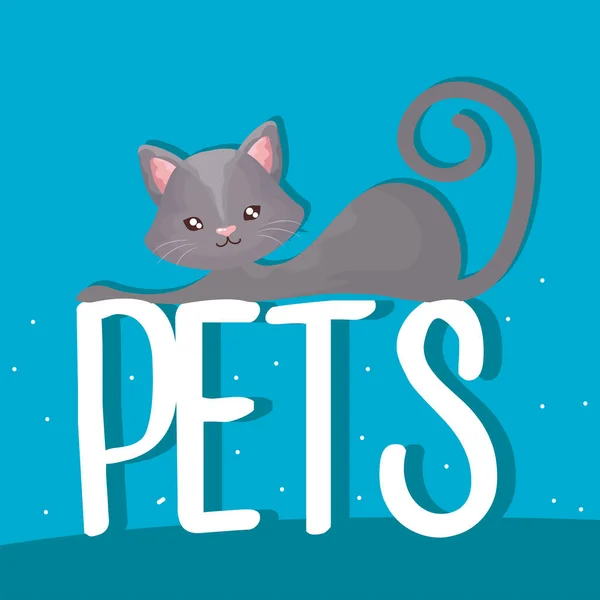Graue niedliche Katze ruht auf Haustieren Schriftzug Cartoon — Stockvektor