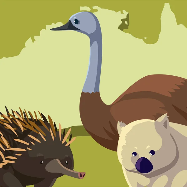 Emu wombat y erizo australiano continente mapa fauna animal — Vector de stock