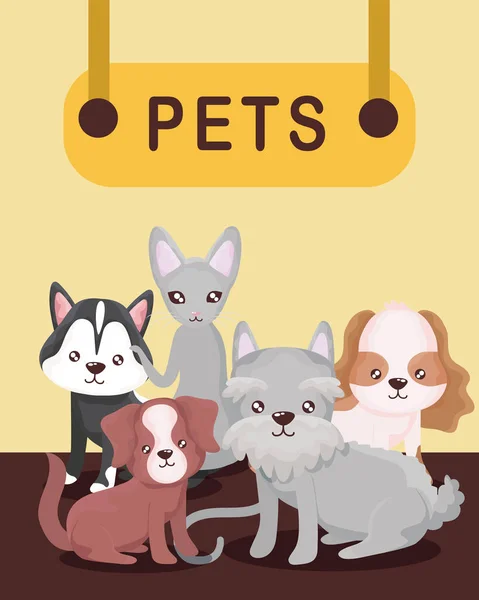 Домашні тварини висять на дошці, собаки і кішки тварин — стоковий вектор