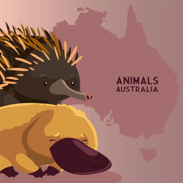 Kirpi ve ornitorenk Avustralya kıta haritası vahşi yaşam — Stok Vektör