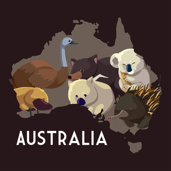 Animales australiano mapa fauna incluyen koala wombat emu erizo — Vector de stock