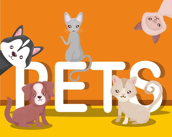 Gatos e cães animais domésticos e animais de estimação lettering — Vetor de Stock