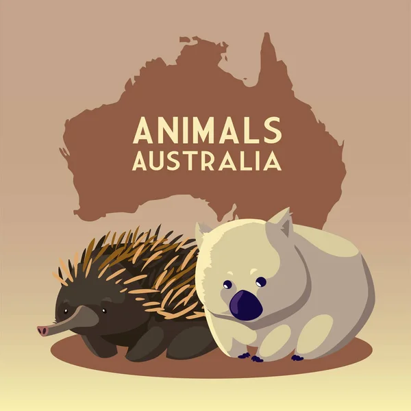 Wombat y erizo australiano continente mapa fauna animal — Vector de stock