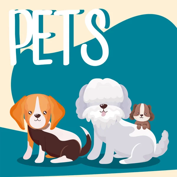 Animais de estimação letras e cães cachorrinho animais domésticos — Vetor de Stock