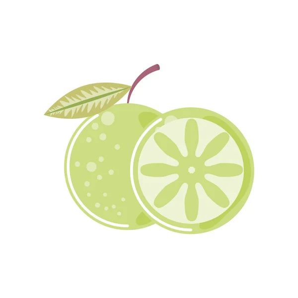 Цілий і скибочки лимон свіжий фруктовий значок ізольований стиль — стоковий вектор