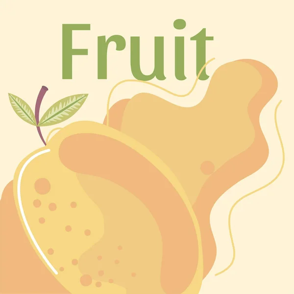 Mango frisches Obst Bio gesunde Lebensmittel — Stockvektor