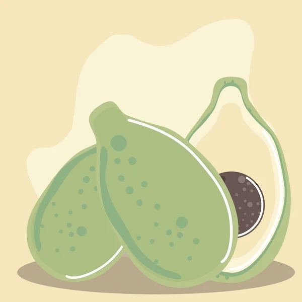鳄梨新鲜水果有机健康食品 — 图库矢量图片