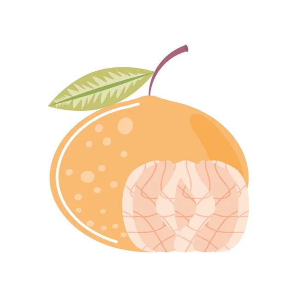 Mandarine fresh fruit icon isolated style — стоковый вектор