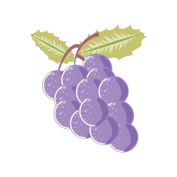 Виноград свежие фрукты икона изолированный стиль — стоковый вектор