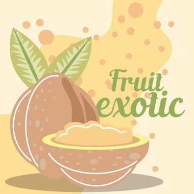 Tropikal meyve taze organik sağlıklı yiyecek