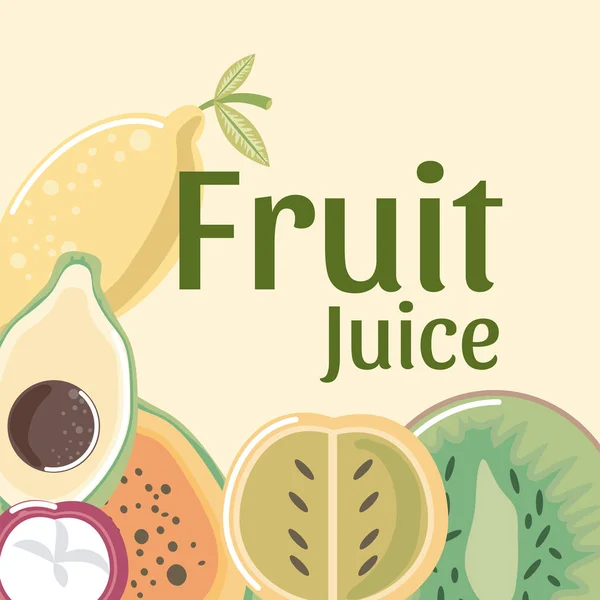 Früchte Saft frische Kiwi Papaya Mangostan Avocado — Stockvektor