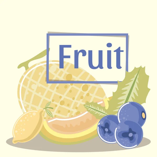 Melone Himbeere Zitrone Bio-und frische Früchte — Stockvektor