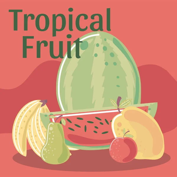 Fruta tropical sandía mango manzana pera y plátano — Vector de stock