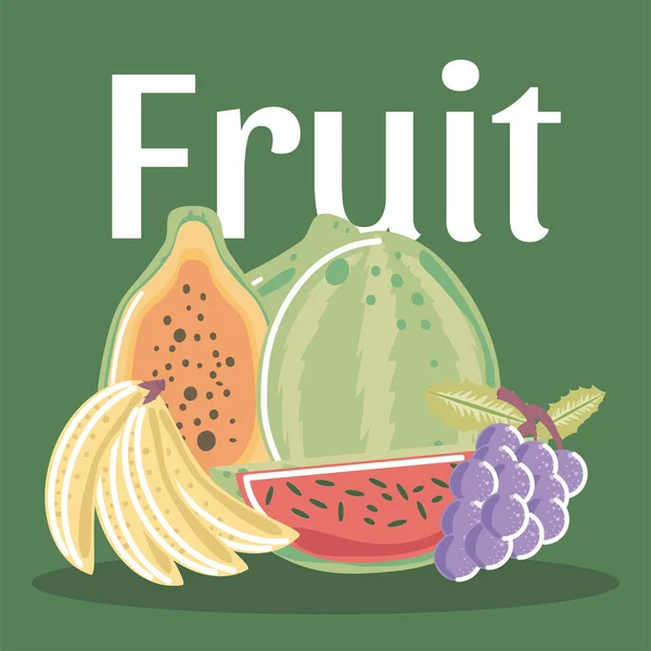 Tropische exotische Früchte wie Kiwi-Pfirsich-Melone — Stockvektor