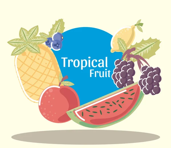 Tropische Früchte frische Ananas Trauben Apfel Zitrone und Wassermelone — Stockvektor