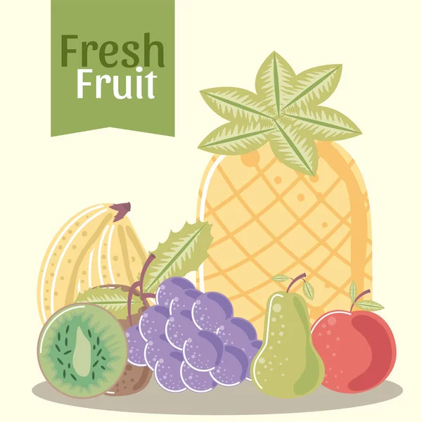 Fruta, piña manzana pera uvas plátano y kiwi fresco — Vector de stock