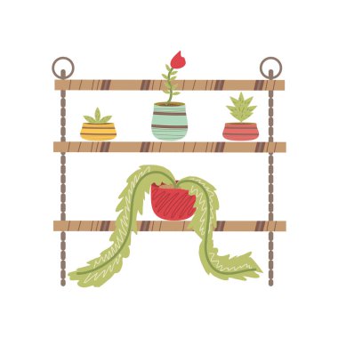 Ev bahçesinde saksılar ve çiçekler raflarda.