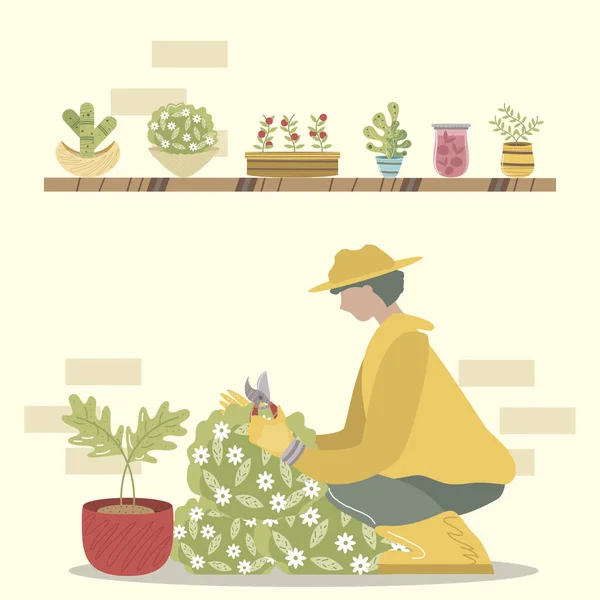 Jardín en casa, jardinero con tijeras recortar plantas de arbustos en macetas — Vector de stock
