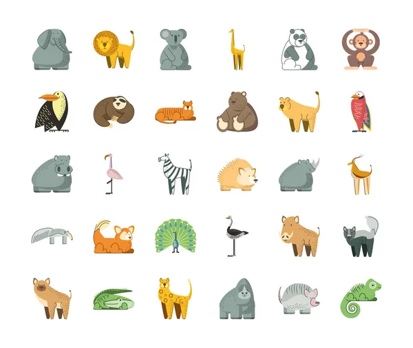 Animales de la selva dibujos animados elefante león koala panda oso hipopótamo — Vector de stock