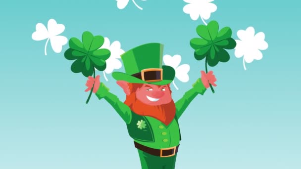 Happy saint patricks day animation with leprechaun lifting clovers leafs — Stok Video