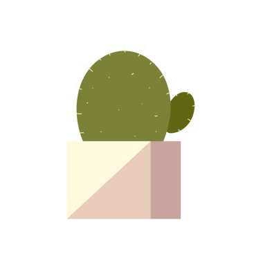 saksı kaktüsü dekorasyonu iç tasarım izole