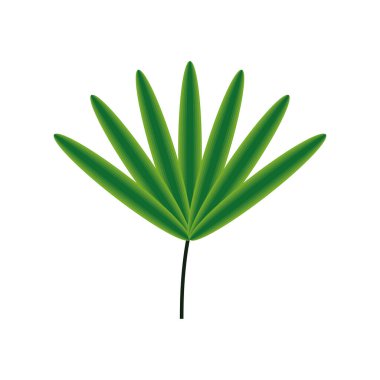 Yaprak tropikal yapraklar