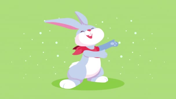 Happy easter card with cute rabbit — Stock Video