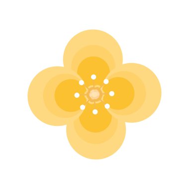 sarı çiçek doğası