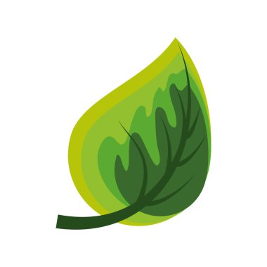 Yaprak yaprağı doğası