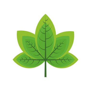 yeşil yaprak ilkbahar