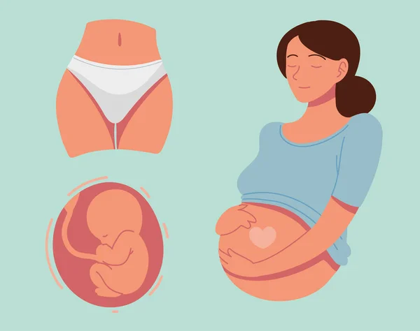 Corpo femminile incinta — Vettoriale Stock