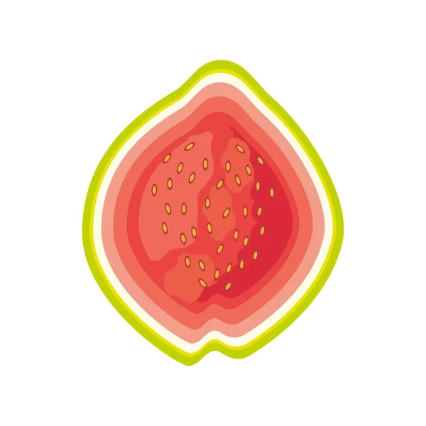 Guayaba de frutas tropicales — Vector de stock