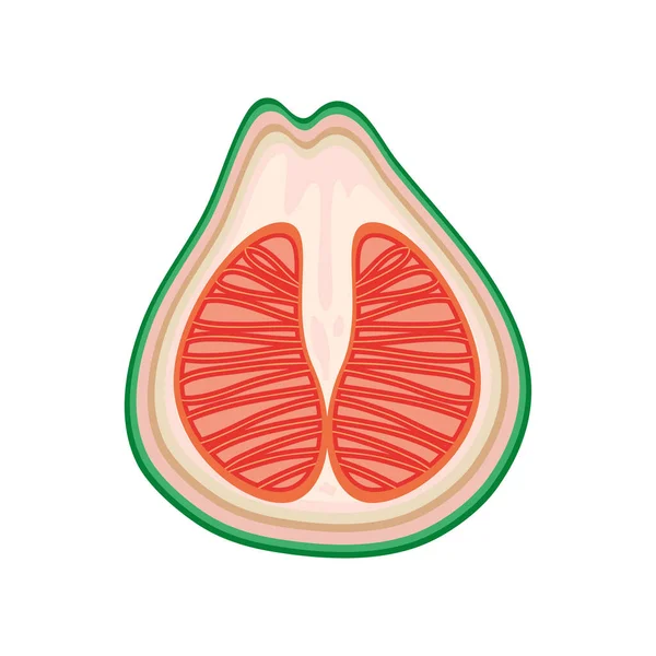 Εικονίδιο τροπικών φρούτων — Διανυσματικό Αρχείο