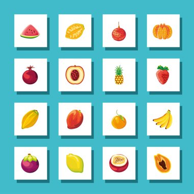 tropik taze meyveler