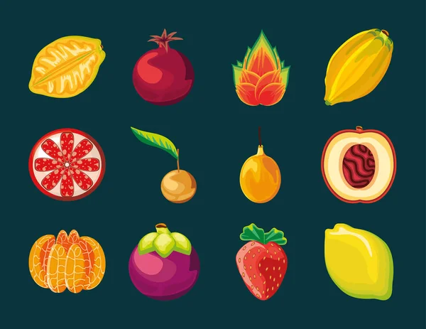 Desenhos animados de frutas tropicais — Vetor de Stock