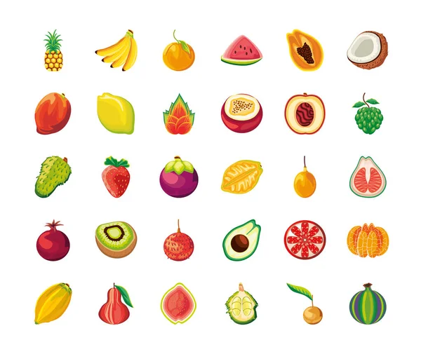 Variedade de frutos tropicais — Vetor de Stock
