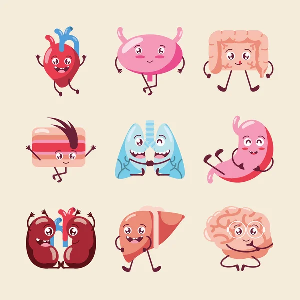 Sevimli insan organları — Stok Vektör