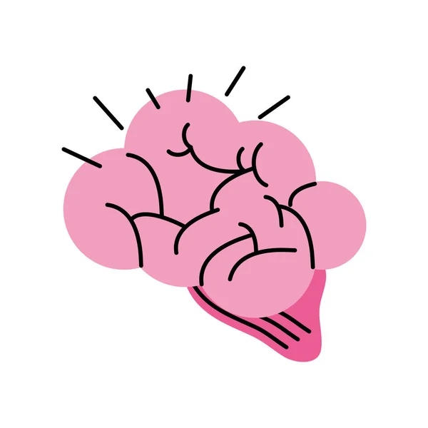 Gribouille du cerveau humain — Image vectorielle