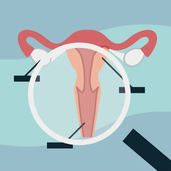 Examine uterus with magnifier — Stock Vector