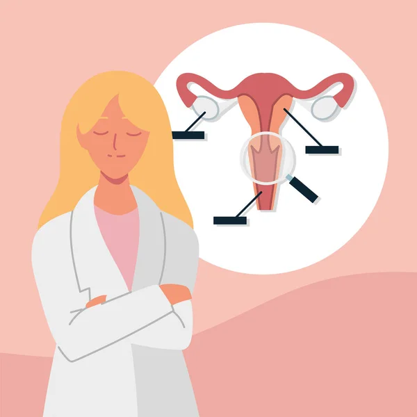 Gynecologist anatomical uterine — Stock Vector