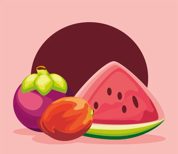 Frutas tropicales frescas — Vector de stock