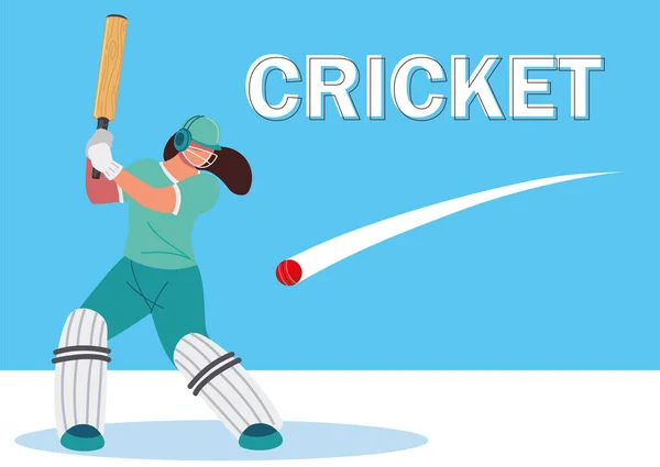 Játékos krikett sport — Stock Vector