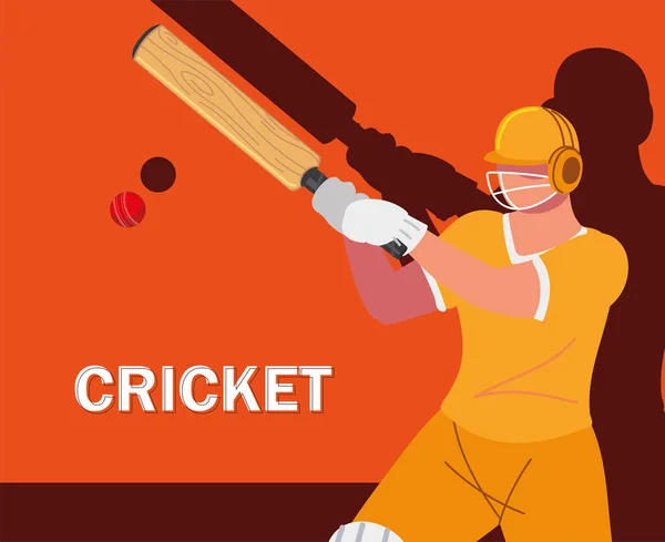 Cricket-Banner für Spieler — Stockvektor