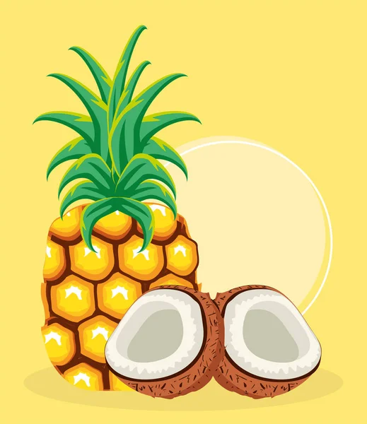 Fruits tropicaux pienapple noix de coco — Image vectorielle